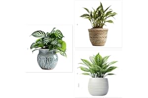 Beavorty Creative 3pcs 30x30cm Double-sided Static Window Clings with Potted Plant Decals for Office and Home