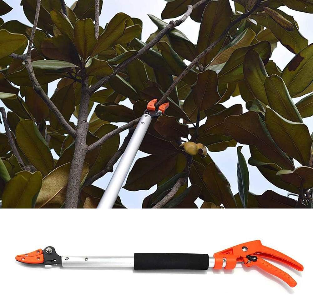 VAHIGCY Long Reach Cut and Hold Pruner, Tree Pruner Long
