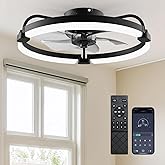 Ensenior 20 Inch Flush Mount Ceiling Fans with Lights, APP Control, Black | Quiet Reversible Motor, Night Light Mode, 6 Speeds, 3CCT, Dimmable, Low Profile, Remote, Memory Function, Timer, Bedroom