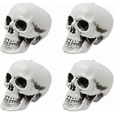 USNUANNU Small Fake Skeletons, 5 Inch Plastic Mini Skulls for Crafts, Outdoor Halloween Decorations, Realistic Miniature Human Skull Heads (4)