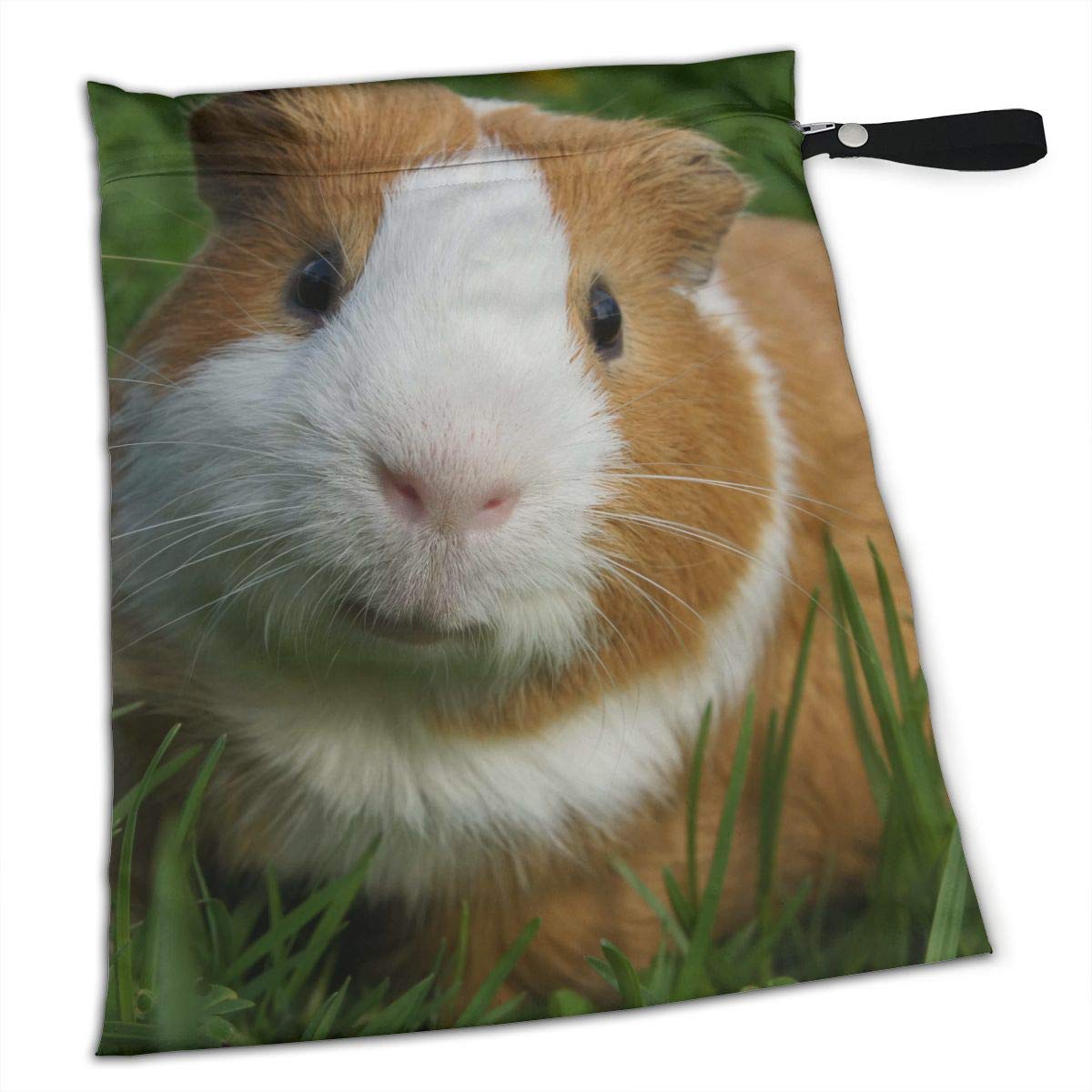 automatic catfish feeder