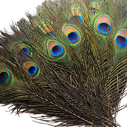 Piokio 100 pcs Natural Peacock Feathers in Bulk