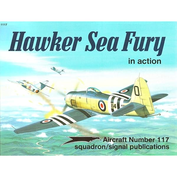洋書 F-4 Phantom II / Tony Holmes F-4 Phantom II book by Tony Holmes