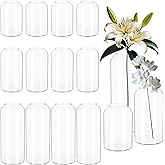 Set of 12 Glass Bud Vases in Bulk,Small Glass Vases for Centerpieces,Keketin Clear Flower Vase Mini Bud Vases for Floral Arrangement,Home Décor,Wedding Party Favors