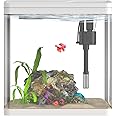 Vimvins 5 Gallon Glass Fish Tank,Small Aquarium with Filter and Light,Self-Cleaning Fish Tank.