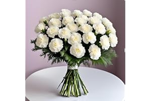 KaBloom Flowers - 12 White Carnation Without Vase. Gift for Birthday, Anniversary, Get Well, Thank You, Valentine, Mother’s Day Fresh Flowers