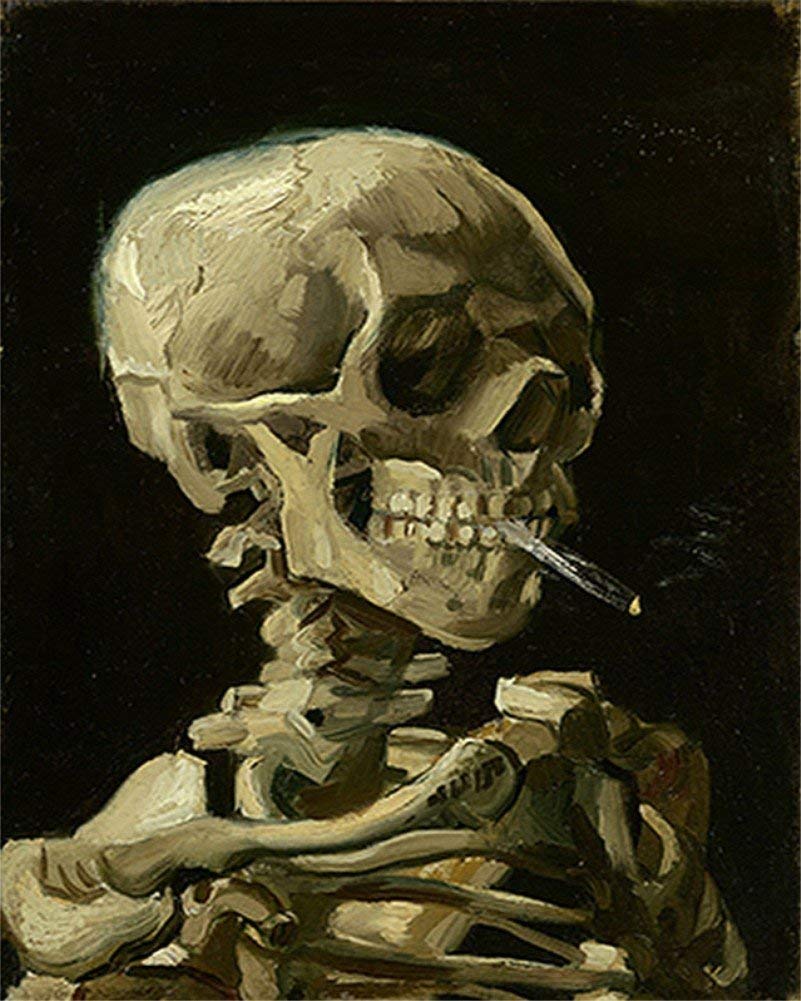 ABEUTY DIY Paint by Numbers for Adults Beginner - Human Skeleton Smokes 16x20 inches Number Painting (No Frame)
