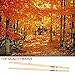 4 Pairs 5A Drum Sticks,Wood Tip Drumsticks(Maple)