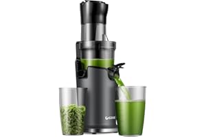 GDOR Cold Press Juicer Machines, Masticating Juicer Extractor with 3.5-Inch Feed Chute, Slow Juicer With High Yield, Easy to Clean,Grey