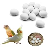 FOIBURELY 12 Pcs Solid Parrot Plastic Eggs Hatching Eggs Green Cheek, Lorikeet&amp;Ringneck Dove, Quaker, Cockatiel. Trick the Birds to Stop Laying Eggs, Fake Eggs