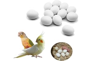 FOIBURELY 12 Pcs Solid Parrot Plastic Eggs Hatching Eggs Green Cheek, Lorikeet&Ringneck Dove, Quaker, Cockatiel. Trick The Birds to Stop Laying Eggs, Fake Eggs