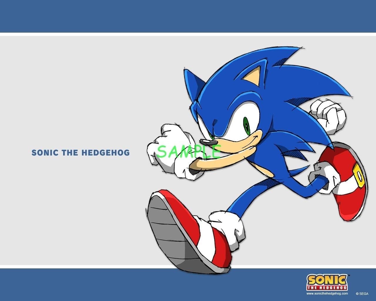 SDore Sonic Sega Games Edible Birthday 1/2 Sheet Frosting Cake Topper Icing
