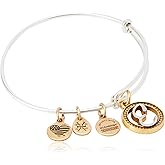 Alex and ANI Women's Initial E II Bangle Two Tone Bracelet, Rafaelian Silver
