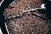 The Blue Flame Gourmet Whole Bean Coffee 12oz (Pack of 2) (Signature Blend)