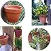 Sumnacon Flower Pot Clips, Hard Steel Durable Plant Pot Latch Hangers Hook, Holds 5” to 8” Clay PotS, Terra Cotta Pots with A Lip Around The Edge (12) (12, Silver)