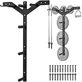 Wall Mounted Weight Plate Rack, 6 Pegs & 4 Barbell Storage Rack, 1190 LBS Capacity Weight Plate Holder, Wall Mounted Bumper P
