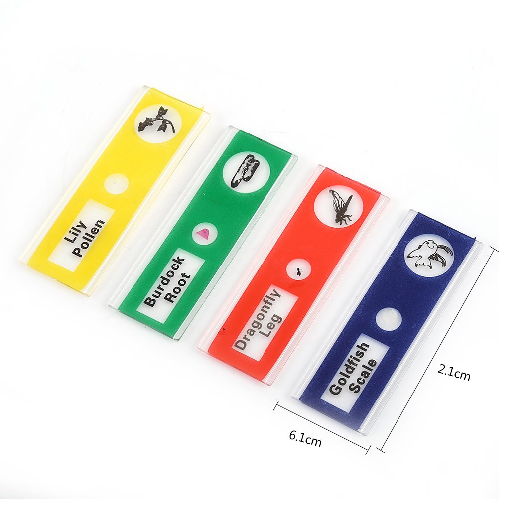 Hilitand 4 Boxes of Prepared Microscope Slides Animals Insects Plants Flowers Sample Specimens(red, yellow, blue, green, 12pcs/box) - Image 5