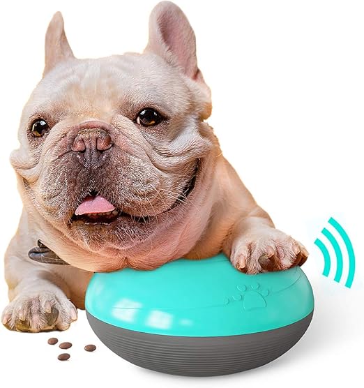 interactive dog ball