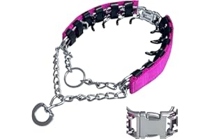 HAESINPA Prong Training Collar for Dogs, Adjustable Dog Pinch Collar with Quick Release Buckle, No Pull Collar for Small Medium Large Dogs, Extra Link and Caps