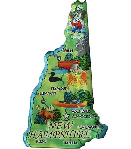 Buy Illinois Acrylic Scenic Magnet