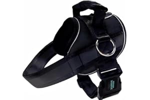 Joyride Harness for Dogs, No-Pull Pet Harness with Customizable Name Tag, Glow in The Dark Logo, 3 Side Rings for Leash Placement, Adjustable Pet Vest for Training and Walking, Easy On-Off Technology