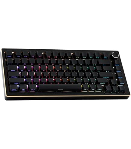 EPOMAKER Tide 65 メカニカルキーボード ブラック Amazon.com: EPOMAKER Tide65 Upgraded QMK/VIA Wireless Gaming