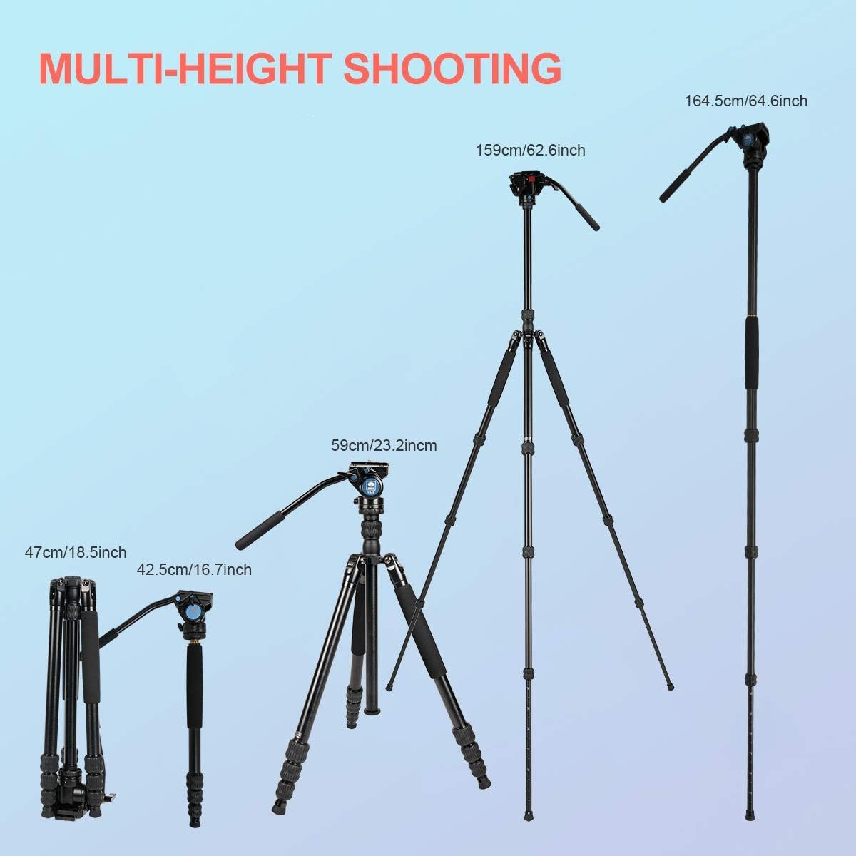 View 6