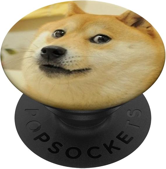 what dog is doge