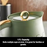 Morphy Richards Cassini Jug Kettle 1.7L 3kW Rapid Boil Precision Pour view 3