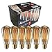 Aplstar New Edison Vintage Bulbs - 6 Pack Bulbs - 60W Incandescent - Clear Glass - ST64 Squirrel Cage - Dimmable