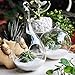 Siyaglass 2/Packing Hanging Terrarium Glass Vase Flower Plant Decoration-Orb and Teardrop