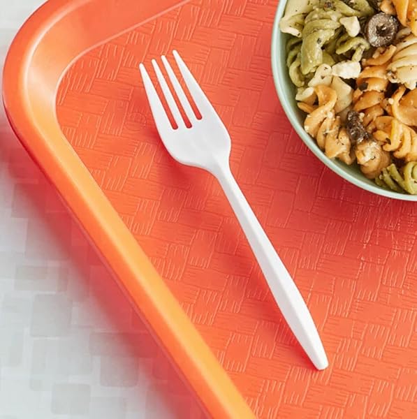 1000 COUNT PLASTIC FORKS DISPOSABLE MEDIUM WEIGHT BPA FREE, HEAT RESISTANT, BULK PREMIUM CUTLERY UTENSILS FOR TAKEOUT, MEAL PREP, PARTY SUPPLY (10 PACKS OF 100)