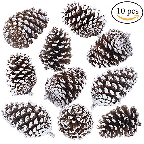 Supla 10 PCS Natural Pinecones Medium Frosted Pine cones Ornaments Real Preserved Pine Cones - Dried -3