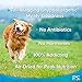 Premium Hypoallergenic Dog Treats - Perfect for Dogs w/Skin Sensitives & Paw Licking - No Fillers, Antibiotics, Hormones - Great for Training/Bribing Your Pet, 100% Empty Bag Satisfaction Guarantee