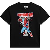 Marvel Birthday Boy Shirt - Spiderman Spidey and Friends Hulk Short Sleeve Graphic Tees Boys Birthday Shirt (Sizes: 3T-7)