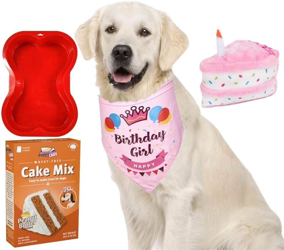 Primo Lines Dog Birthday Party Supplies All Natural Cake Mix and Frosting, Red Bone Shaped Cake Pan, Cake Plush Stuffed Toy and Bandana Scarf — Pet Treats Snacks Gift