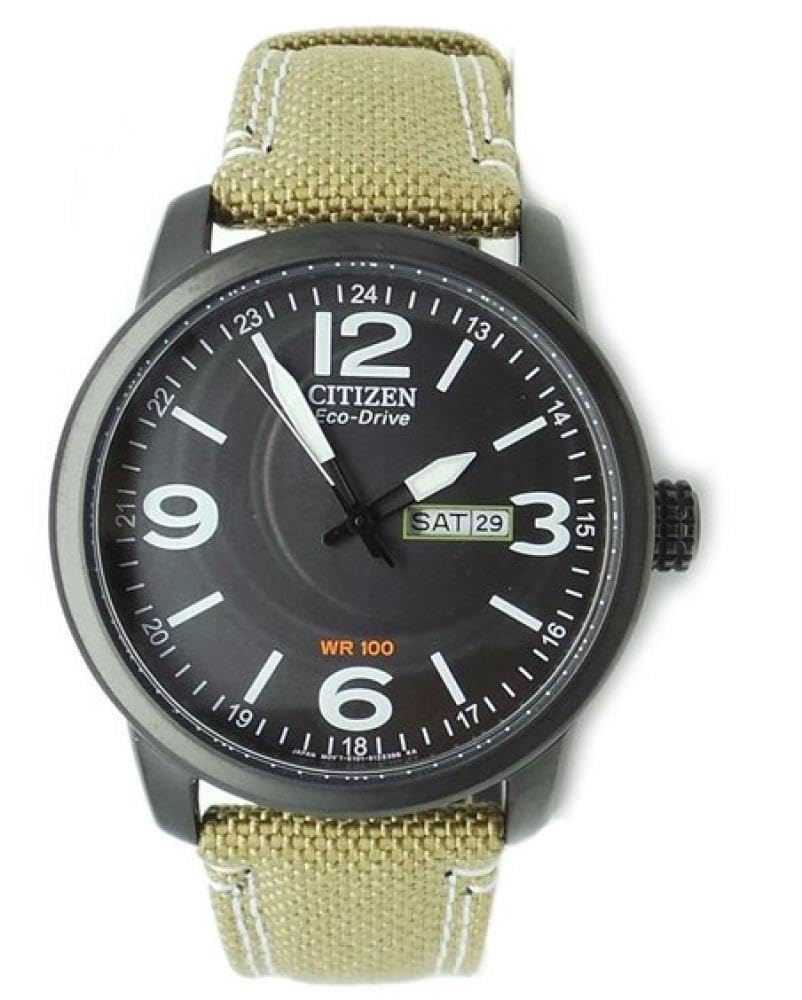 Citizen, Men's, Analog 8018225011710, Black/Beige, Strip