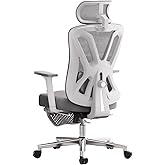 Hbada P5 Ergonomic Office Chair, Ergonomic Chair with Adjustable Lumbar Support and Height, Comfortable Mesh Computer Chairs 