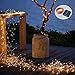 Solar String Lights, 100 LED Solar Fairy Lights 33 feet 8 Modes Copper Wire Lights Waterproof Outdoor String Lights for Garden Patio Gate Yard Party Wedding Indoor Bedroom Warm White - LiyanQ