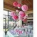 Coceca 21Pcs Tissue Paper Pom Poms Pink Paper Pom Poms 14 Inch, 12 Inch, 10 Inch, 8 Inch Pink Set Flower Ball for Birthday Wedding Party Outdoor Baby Shower Decoration
