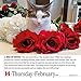 365 Cats Page-A-Day Calendar 2019