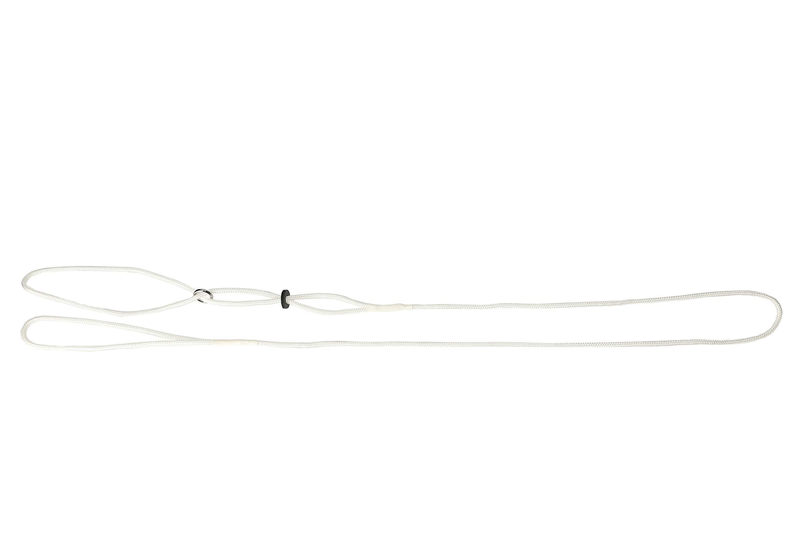 Dingo Thin Show Lead for Dog from White Cord Comfy Leash for Handler and Dog on the Ring 10477