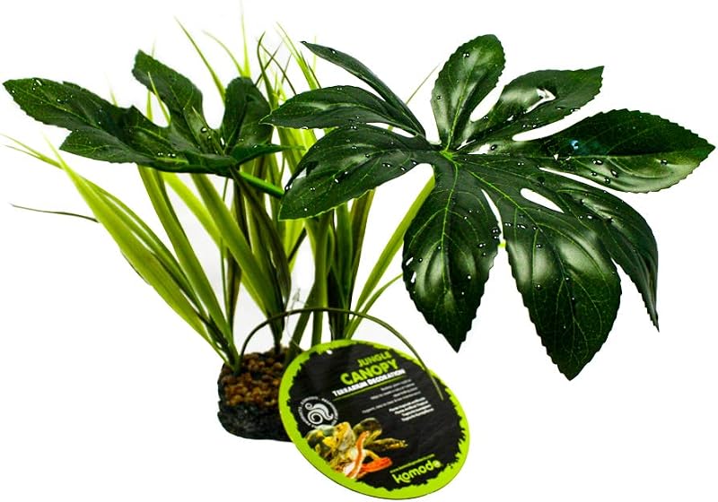 Komodo Jungle Canopy Reptile Terrarium Plant 1 Count