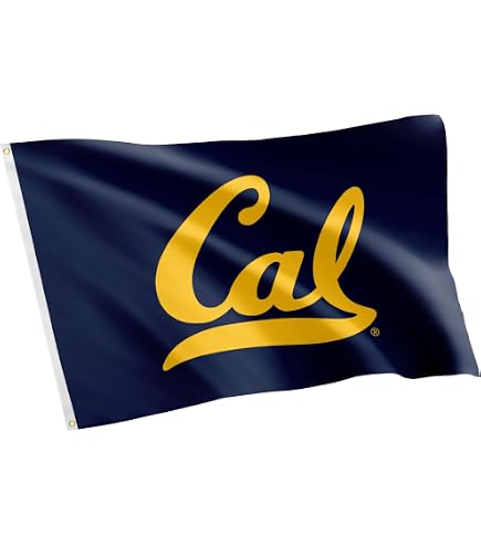 Jackson State University Flag By Desert Cactus - 3x5 Feet Outdoor Indoor Polyester - View #4