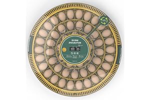 HOWOOIUA HOWOOlUA 52 Egg Incubator for Hatching Eggs with Auto Turn, Temp Control & Humidity Display, Built-in Candler Large Capacity Egg Incubator for Chicken Quail Duck Goose Eggs (52A-Green)