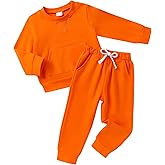 YOUNGER TREE Toddler Fall Outfits for Girl Long Sleeve Sweatsuit Top and Sweatpants Set Baby Girl Winter Clothes