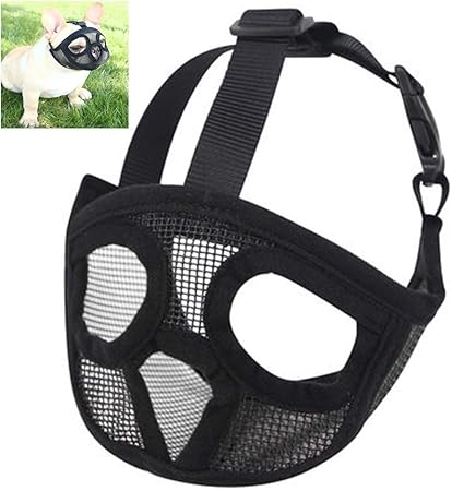 Hihey Museau Pour Chiens à Museau Aplati Réglable Et Respirant Bouledogue Anglais Bouledogue Français Pékinois Shih Tzu Carlin Convient également Aux