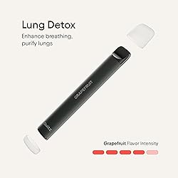 Quitz Natural Flavored Air Inhaler | No Heating
