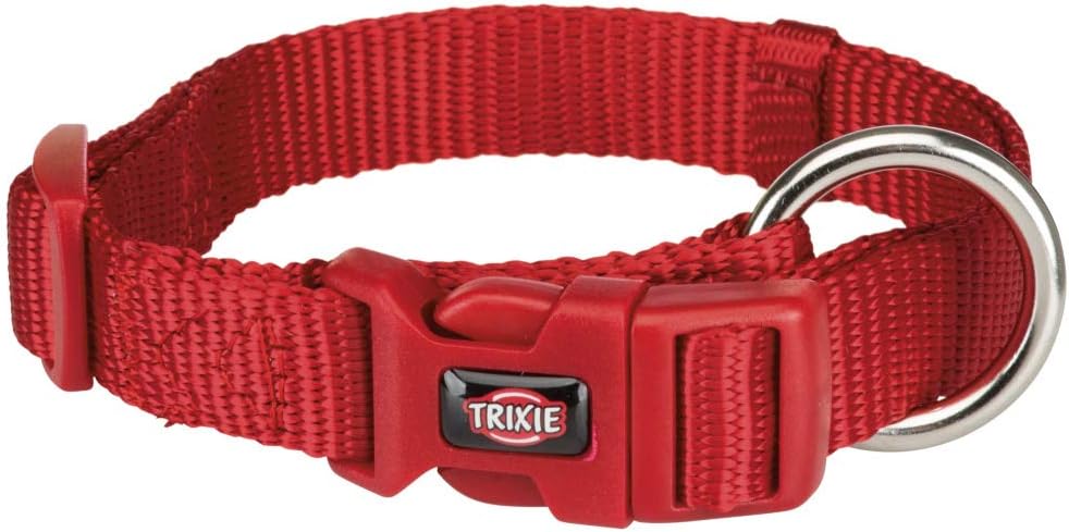 winter white hamster changing color