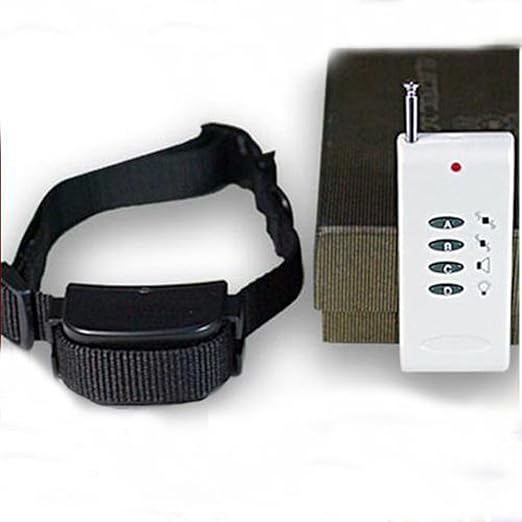 chihuahua lab mix puppies for sale